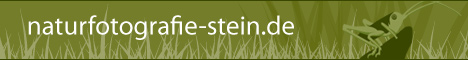 Banner/Link zur Naturfotografie-Website von Christian Stein