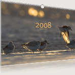 Deckblatt Naturfotografie-Kalender 2008 von naturfotografie-stein.de