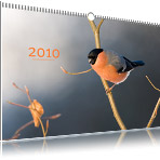Deckblatt Naturfotografie-Kalender 2010 von christianstein.net