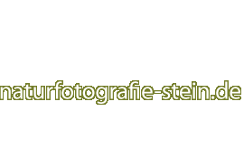 Naturfotografie und Makrofotografie von Christian Stein