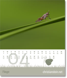 Monat April des Naturfotografie-Kalenders 2007 von christianstein.net