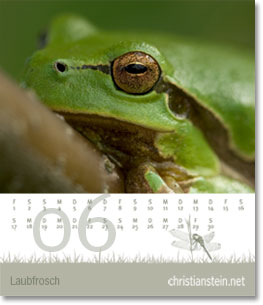 Monat Juni des Naturfotografie-Kalenders 2007 von christianstein.net
