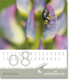 Monat August des Naturfotografie-Kalenders 2007 von christianstein.net