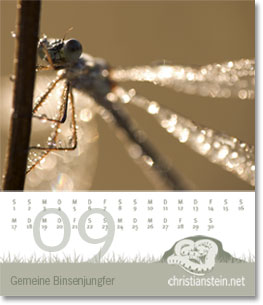 Monat September des Naturfotografie-Kalenders 2007 von christianstein.net