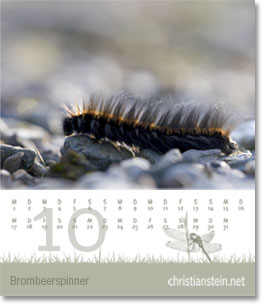 Monat Oktober des Naturfotografie-Kalenders 2007 von christianstein.net