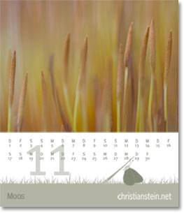 Monat November des Naturfotografie-Kalenders 2007 von christianstein.net