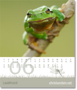 Monat Juni des Naturfotografie-Kalenders 2008 von christianstein.net