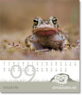 Monat September des Naturfotografie-Kalenders 2008 von christianstein.net
