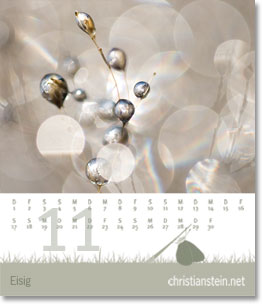 Monat November des Naturfotografie-Kalenders 2008 von christianstein.net