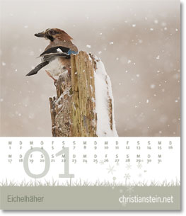 Monat Januar des  Naturfotografie-Kalenders 2009 von christianstein.net