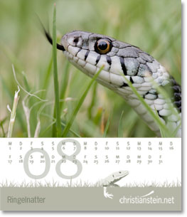 Monat August des Naturfotografie-Kalenders 2009 von christianstein.net
