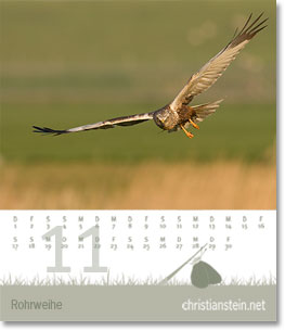 Monat November des Naturfotografie-Kalenders 2009 von christianstein.net