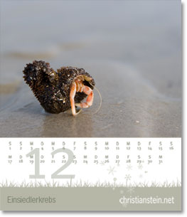 Monat Dezember des Naturfotografie-Kalenders 2009 von christianstein.net