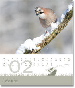 Monat Februar des Naturfotografie-Kalenders 2010 von christianstein.net