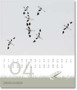 Monat April des Naturfotografie-Kalenders 2010 von christianstein.net