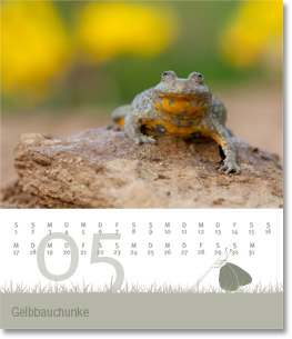Monat Mai des Naturfotografie-Kalenders 2010 von christianstein.net