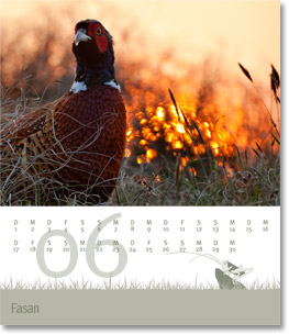 Monat Juni des Naturfotografie-Kalenders 2010 von christianstein.net