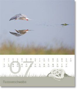 Monat Juli des Naturfotografie-Kalenders 2010 von christianstein.net