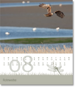 Monat August des Naturfotografie-Kalenders 2010 von christianstein.net