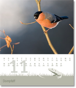 Monat November des Naturfotografie-Kalenders 2010 von christianstein.net