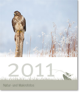 Deckblatt Naturfotografie-Kalender 2011 von christianstein.net