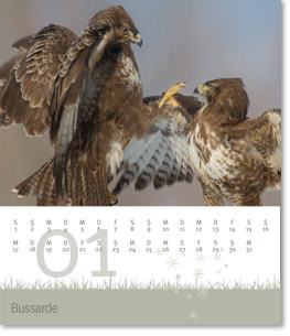 Monat Januar des  Naturfotografie-Kalenders 2011 von christianstein.net