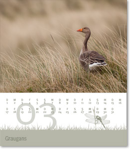 Monat März des Naturfotografie-Kalenders 2011 von christianstein.net