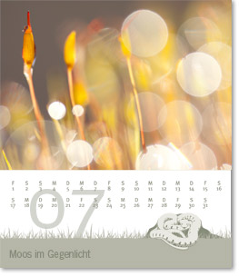 Monat Juli des Naturfotografie-Kalenders 2011 von christianstein.net