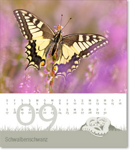 Monat September des Naturfotografie-Kalenders 2011 von christianstein.net
