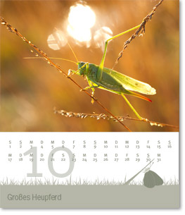 Monat Oktober des Naturfotografie-Kalenders 2011 von christianstein.net