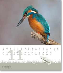 Monat November des Naturfotografie-Kalenders 2011 von christianstein.net